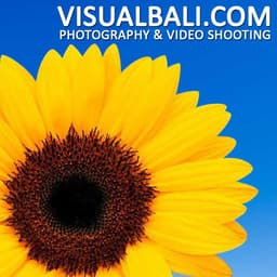Visual Studio Photography