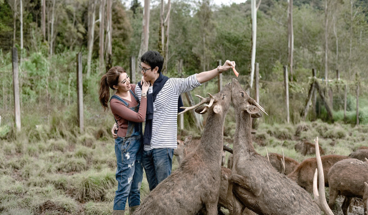 Inilah 10 Rekomendasi Lokasi Prewedding Terbaik di Bandung